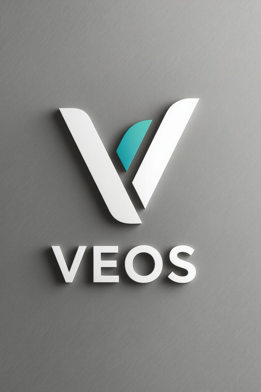 VEOS SERVICES SUPPLIES AND PROJECTS